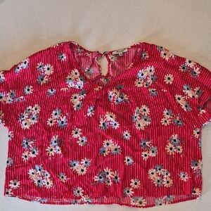 Madewell Red Floral Striped V-Neck Shirt